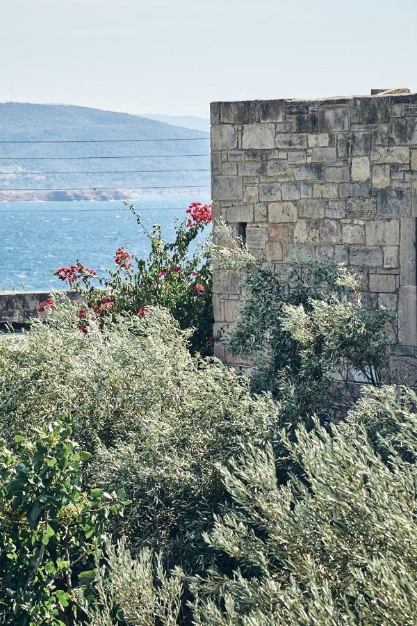 Nikolaou Art Residence Aegina Luaran gambar
