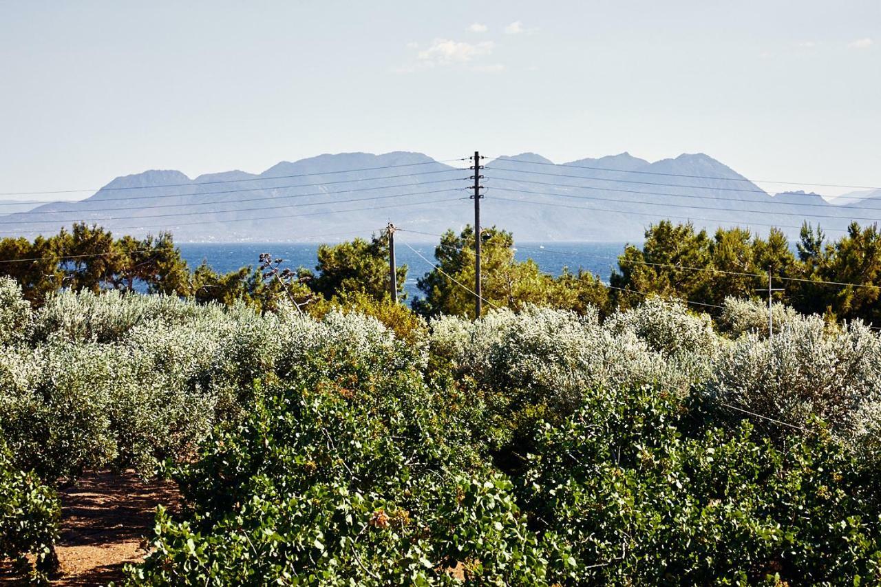 Nikolaou Art Residence Aegina Luaran gambar
